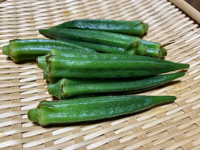 【オクラ食べたことありますか？】